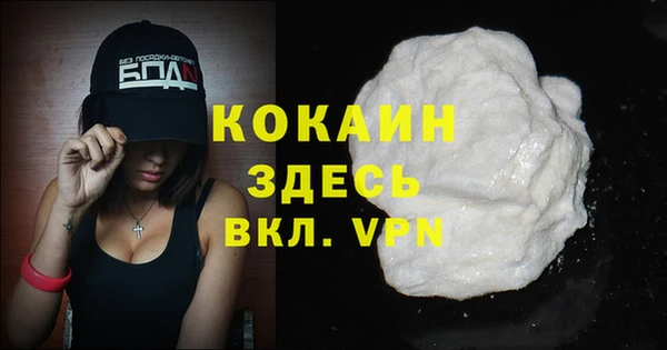 шишки Верея