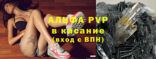 круглые Вяземский