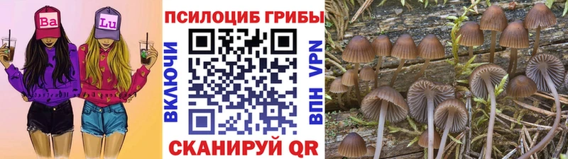 Псилоцибиновые грибы Psilocybine cubensis  ссылка на мегу ТОР  Лосино-Петровский 